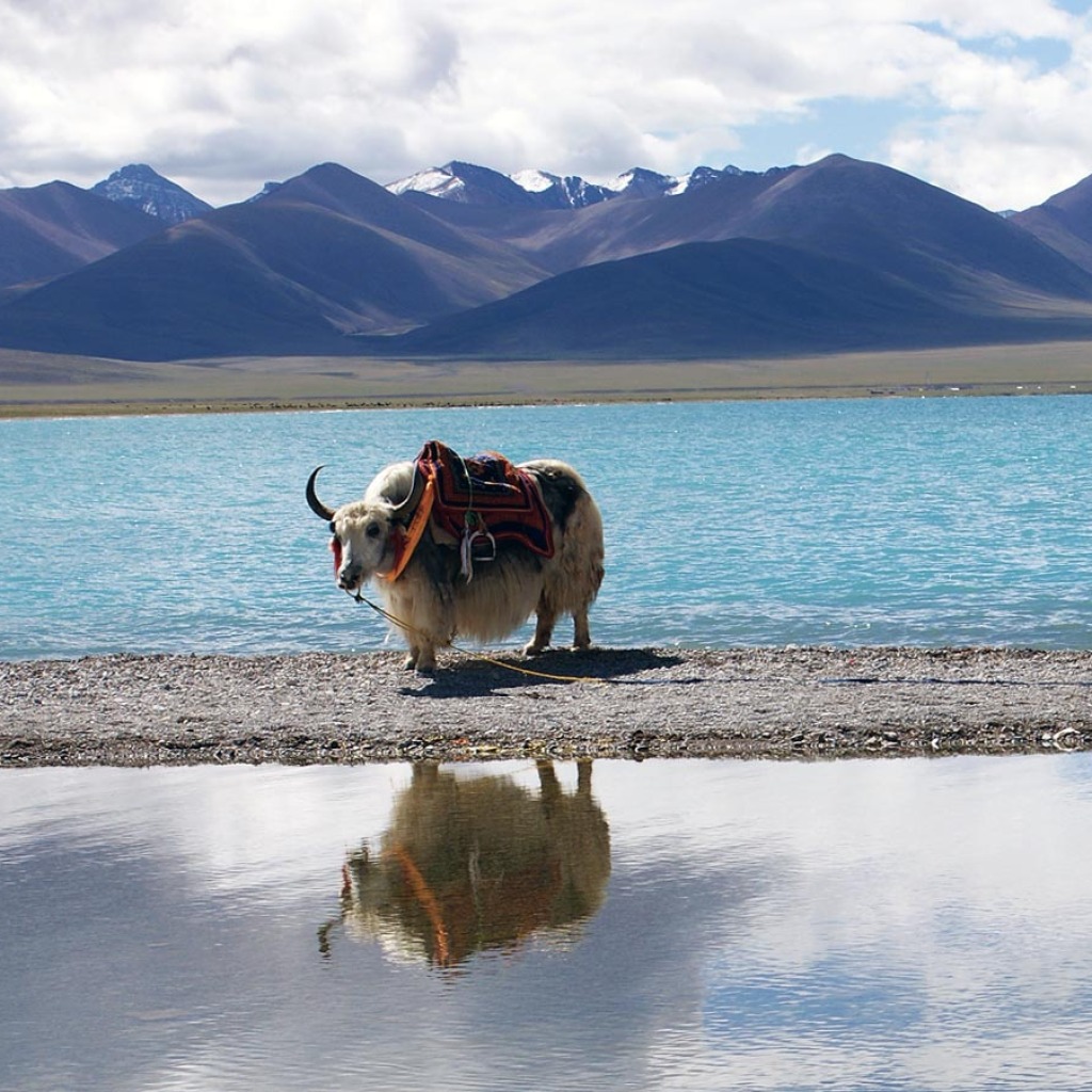 Motorradreisen Tibet Chengdu Transfer Akklimatisieren